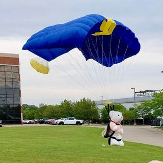 Teddy bear with base jump parachute in a field.